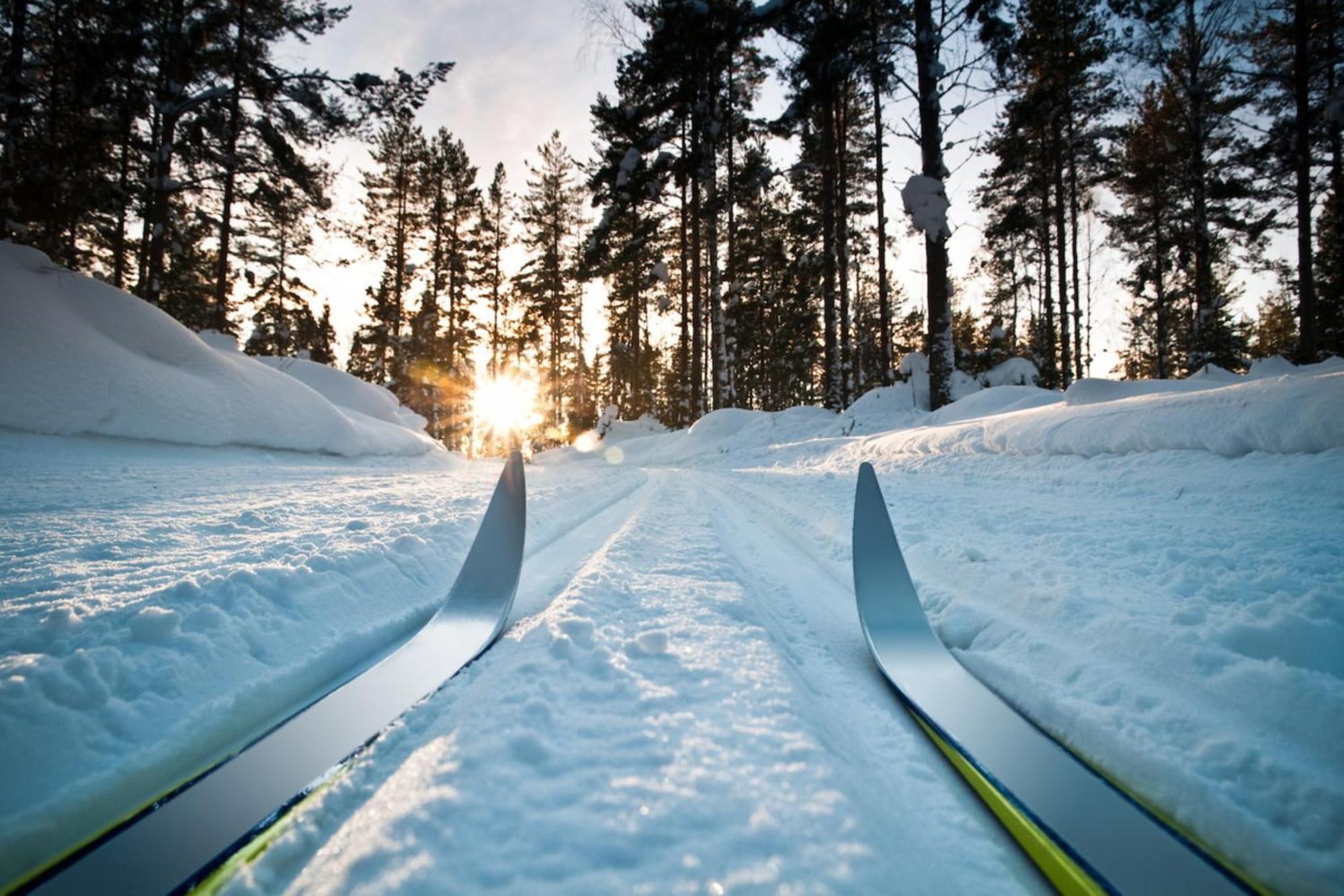Hotel First Camp Bjoerknaes-Boden Exteriér fotografie